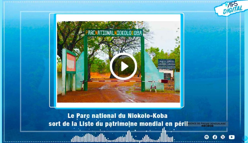 VIDEO Le Parc National Du Niokolo Koba Sort De La Liste Du Patrimoine