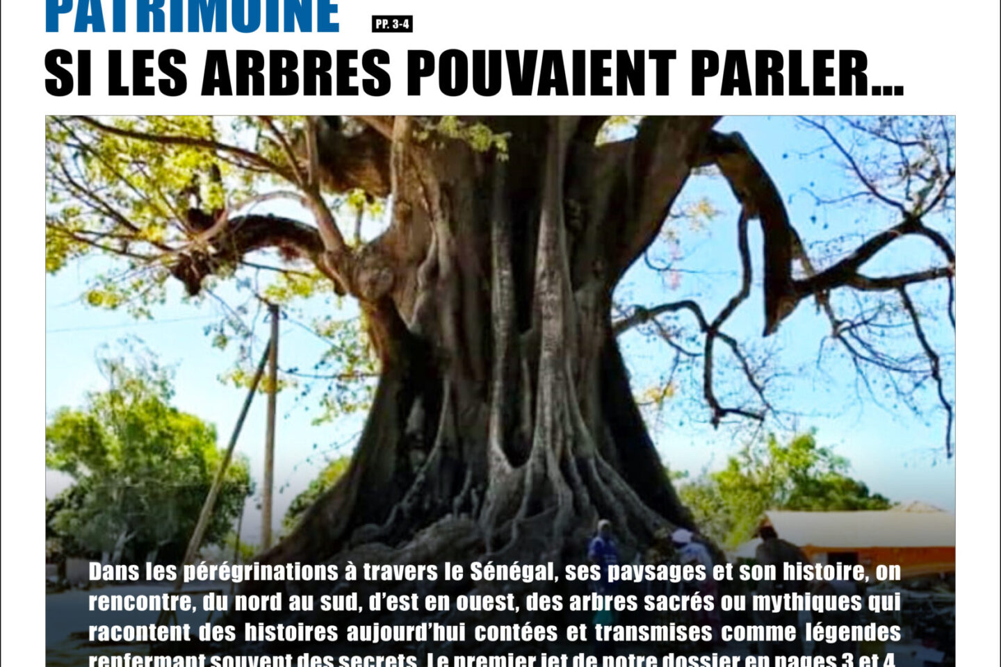 APS HEBDO N°5