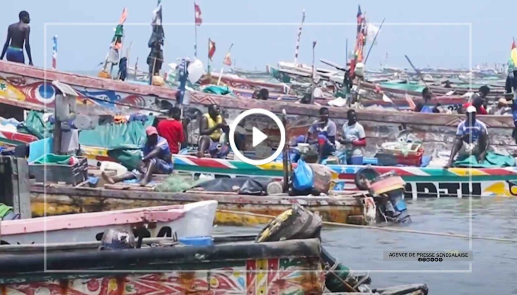 Mbour : Des acteurs de la pêche saluent la publication de la liste des navires…
