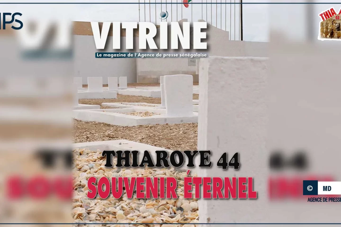 Vitrine, le magazine de l’APS sort un numéro spécial consacré au massacre des tirailleurs, lundi
