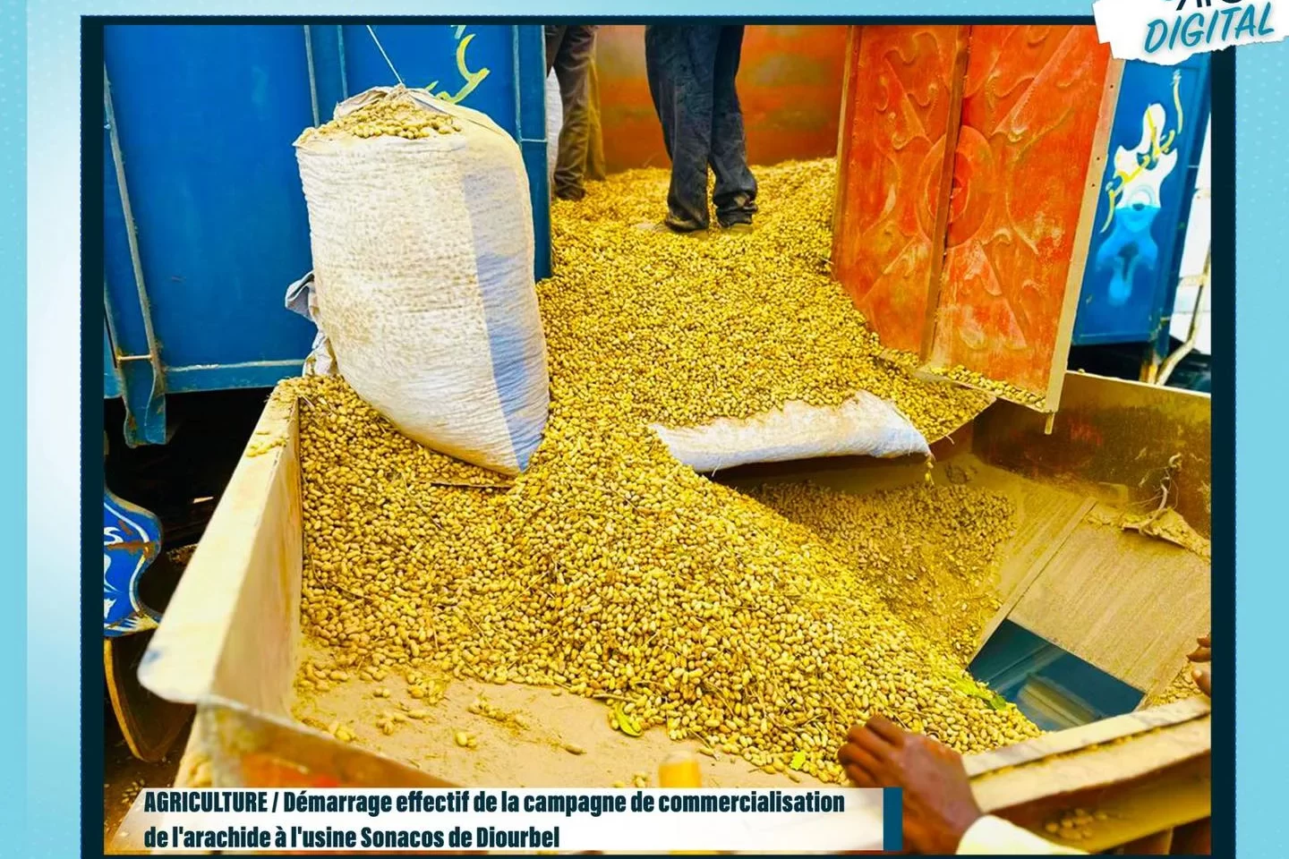 Démarrage effectif de la campagne de commercialisation de l’arachide à l’usine Sonacos de Diourbel