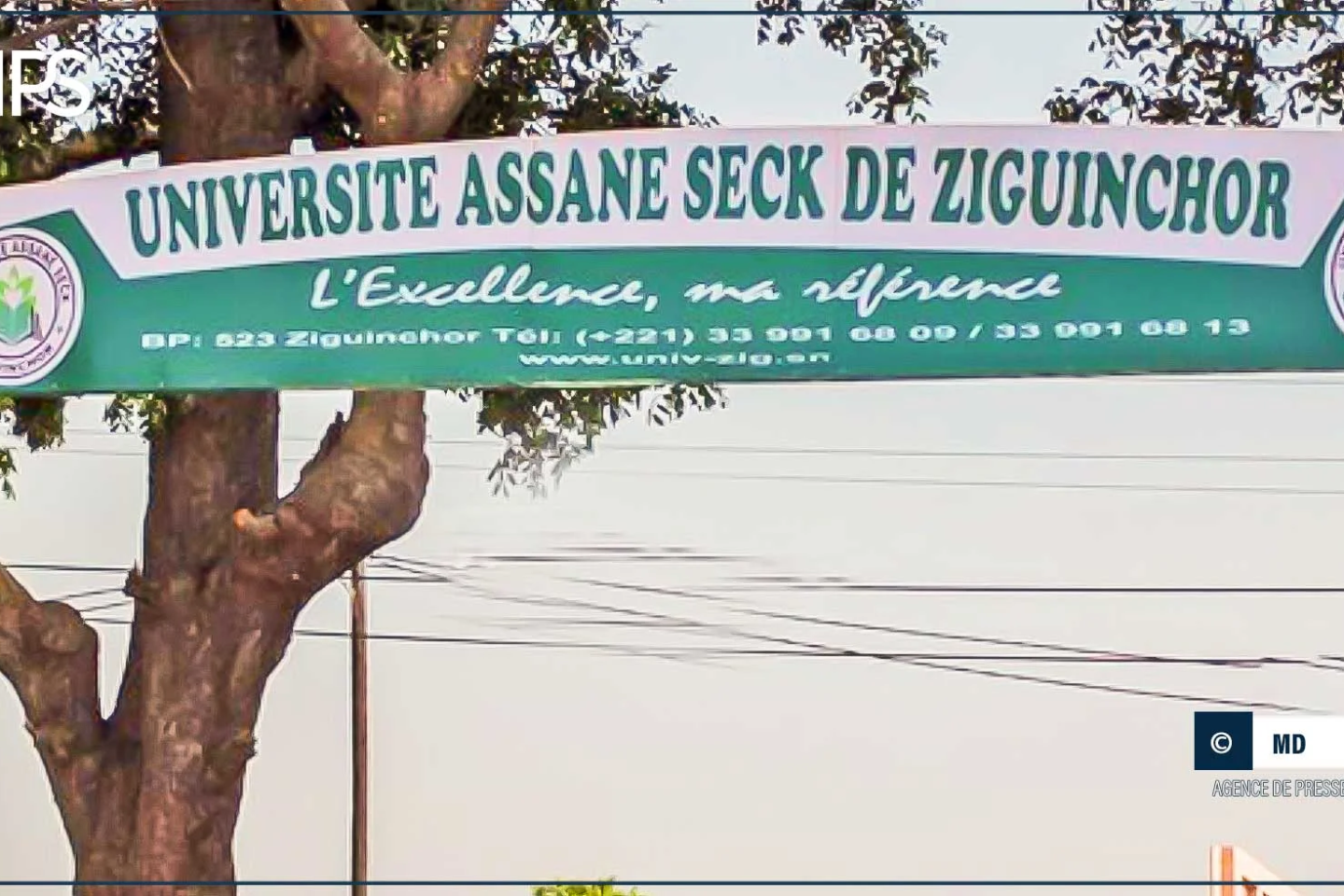 Ziguinchor : les étudiants de l’UASZ mettent fin à leur grève