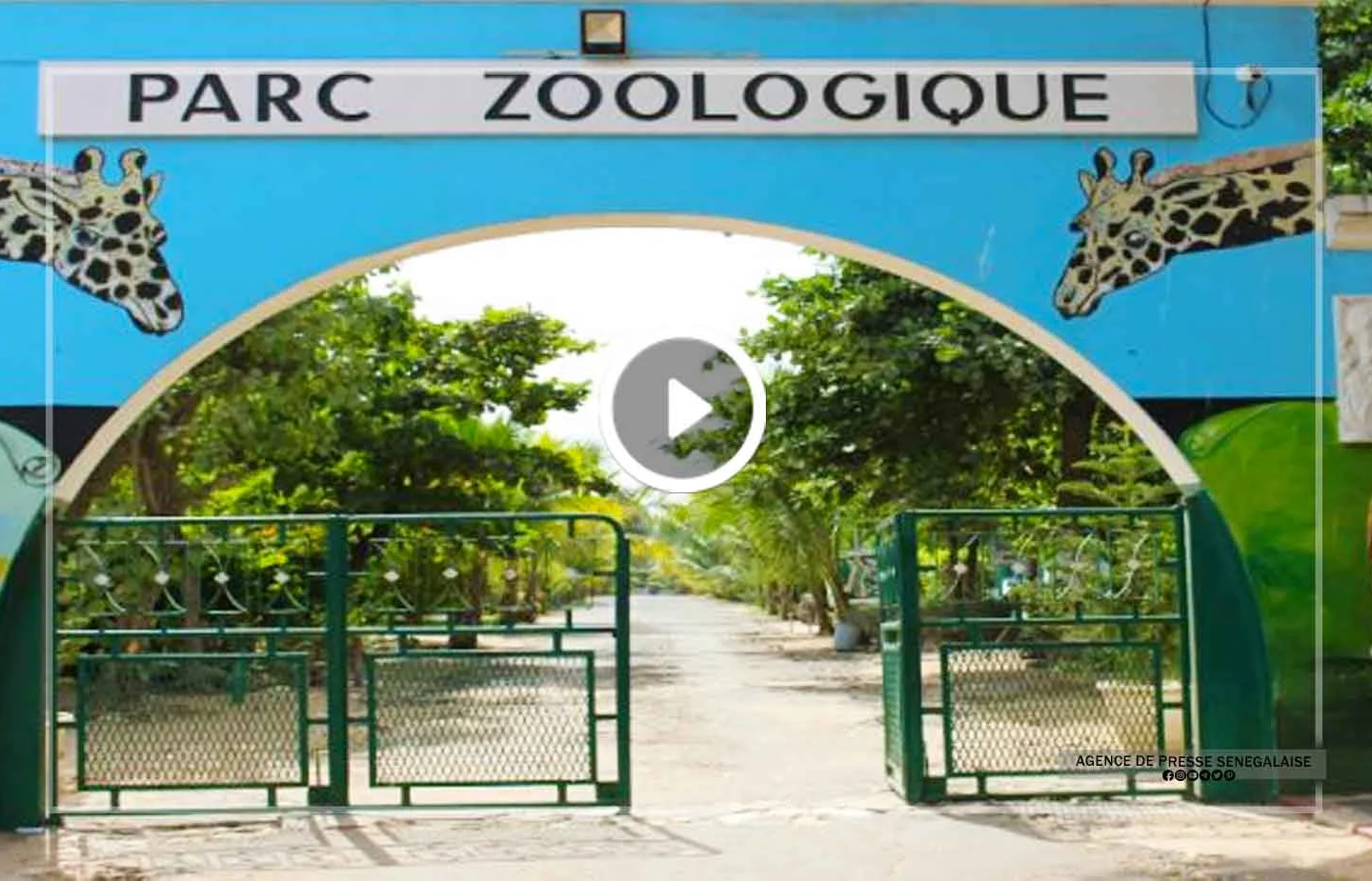 Parc zoologique de Hann : un joyau écologique en quête de renaissance