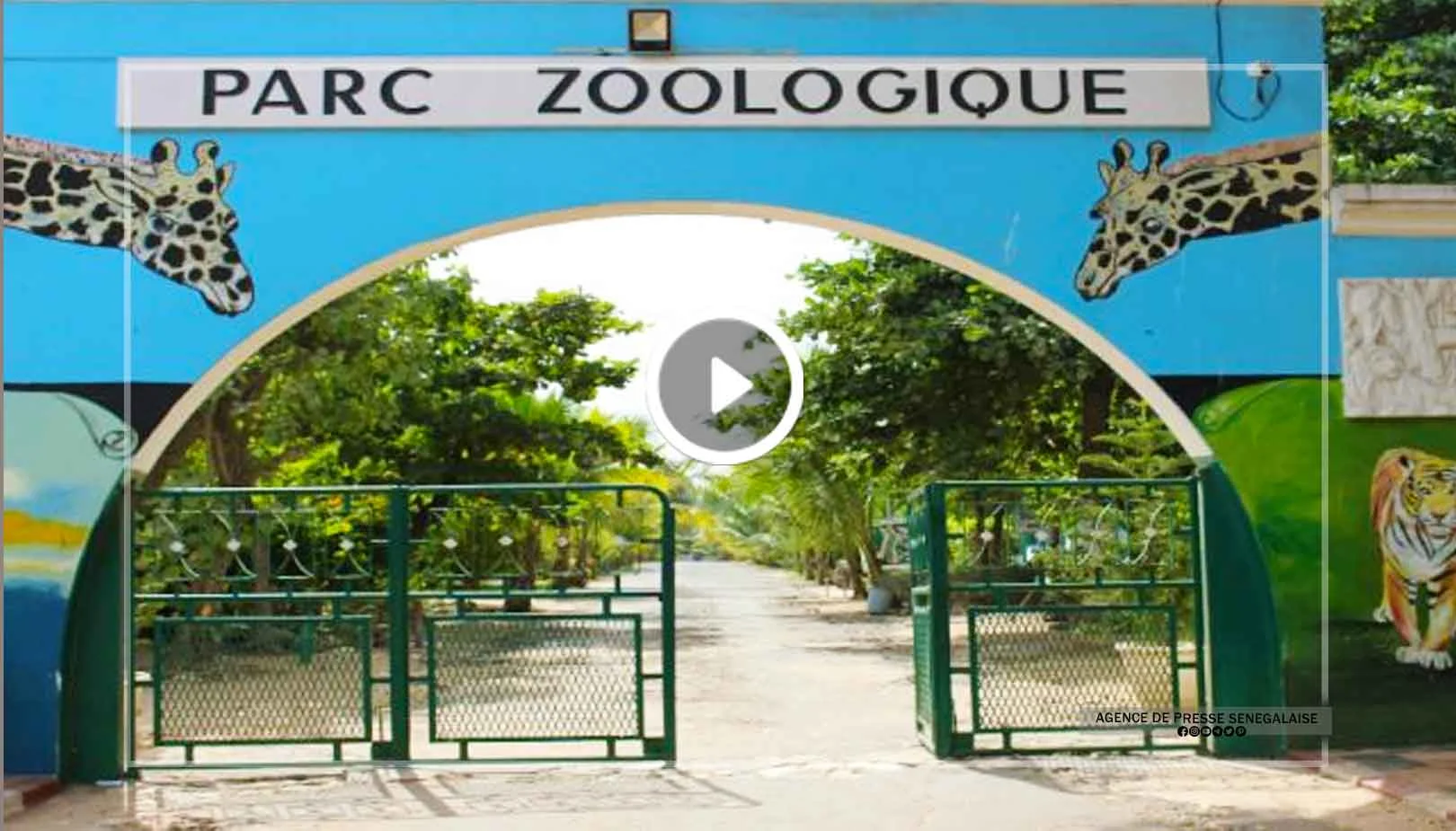 Parc zoologique de Hann : un joyau écologique en quête de renaissance Parc zoologique de Hann : un joyau écologique en quête de renaissance