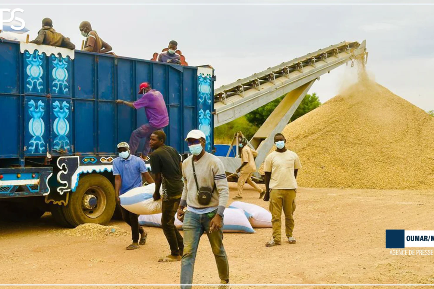 Arachide : la SONACOS déclare avoir collecté 22.000 tonnes dans la région de Diourbel