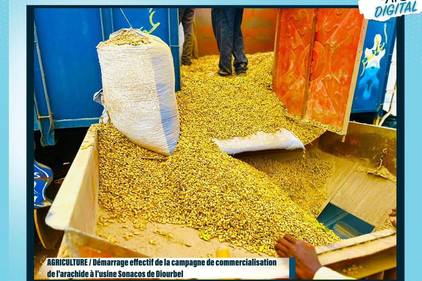 Démarrage effectif de la campagne de commercialisation de l’arachide à l’usine Sonacos de Diourbel