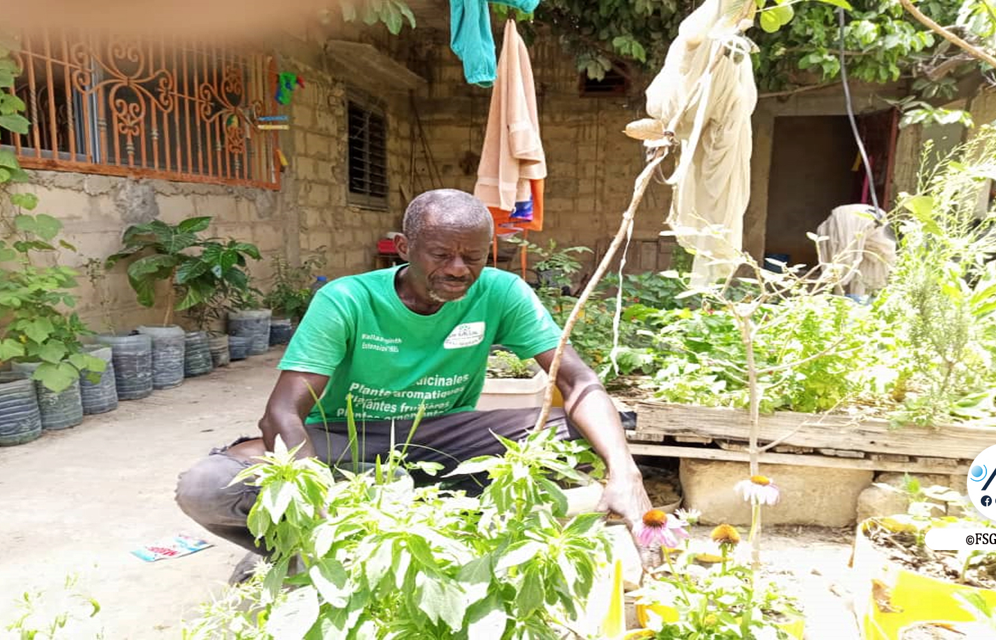 A Thiès, Abou Diop propose l’agroécologie urbaine pour remédier au rétrécissement des espaces agricoles