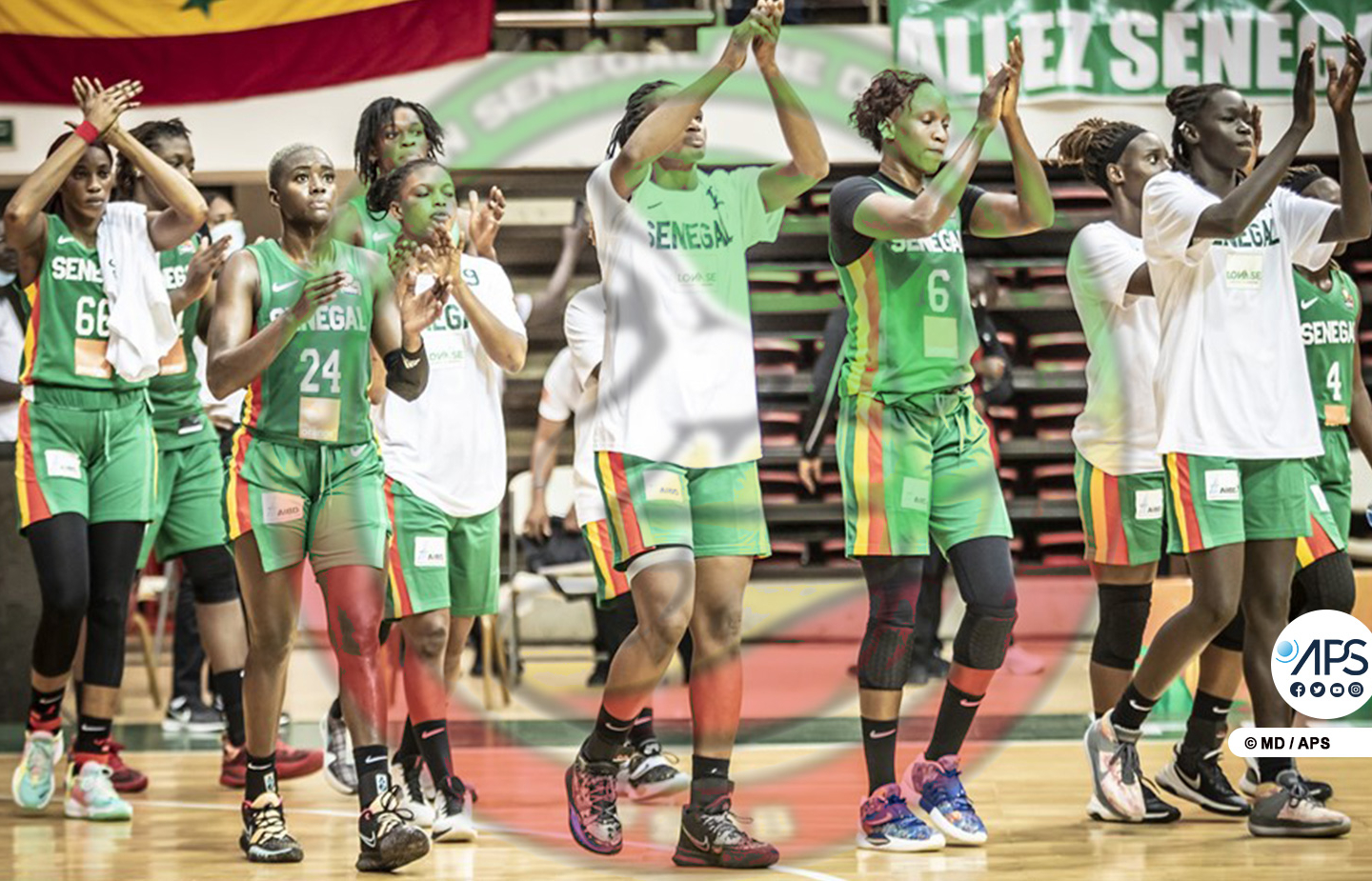 Afrobasket féminin 2023 : la liste des joueuses connue ce mercredi