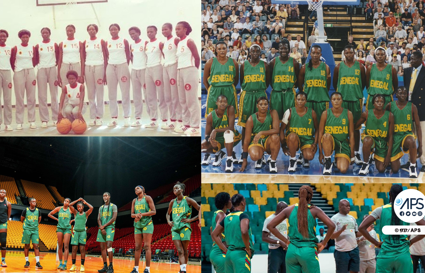 Les Lionnes et l’Afrobasket en chiffres