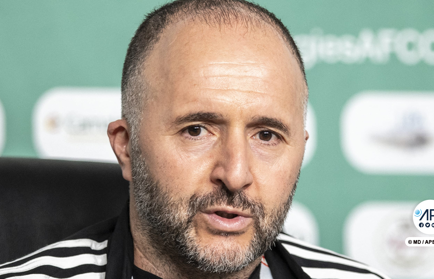 Les Lions auront un esprit de revanche, selon Djamel Belmadi