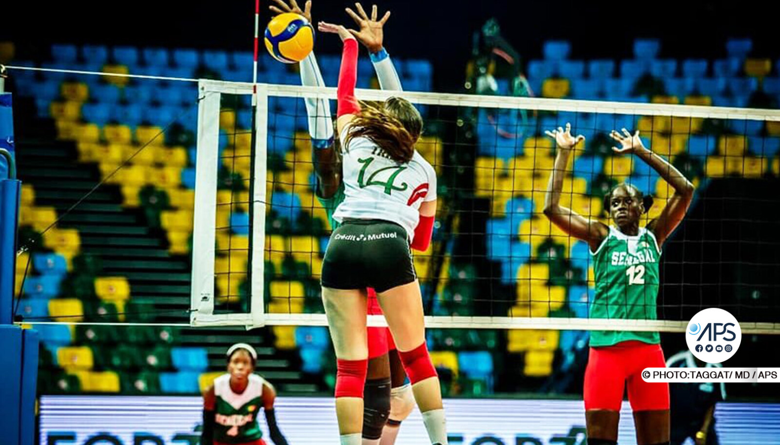 Volleyball : le Sénégal battu d'entrée (3 sets à 0) par le Maroc