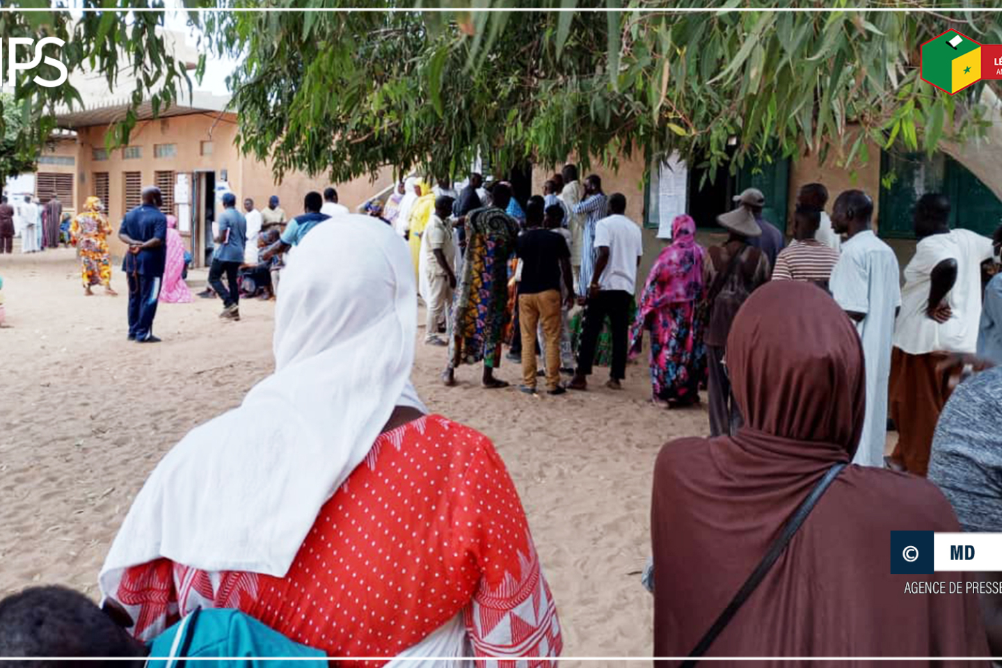 Golf Sud : début sans encombre du vote à Ogo Diop et Serigne Niang