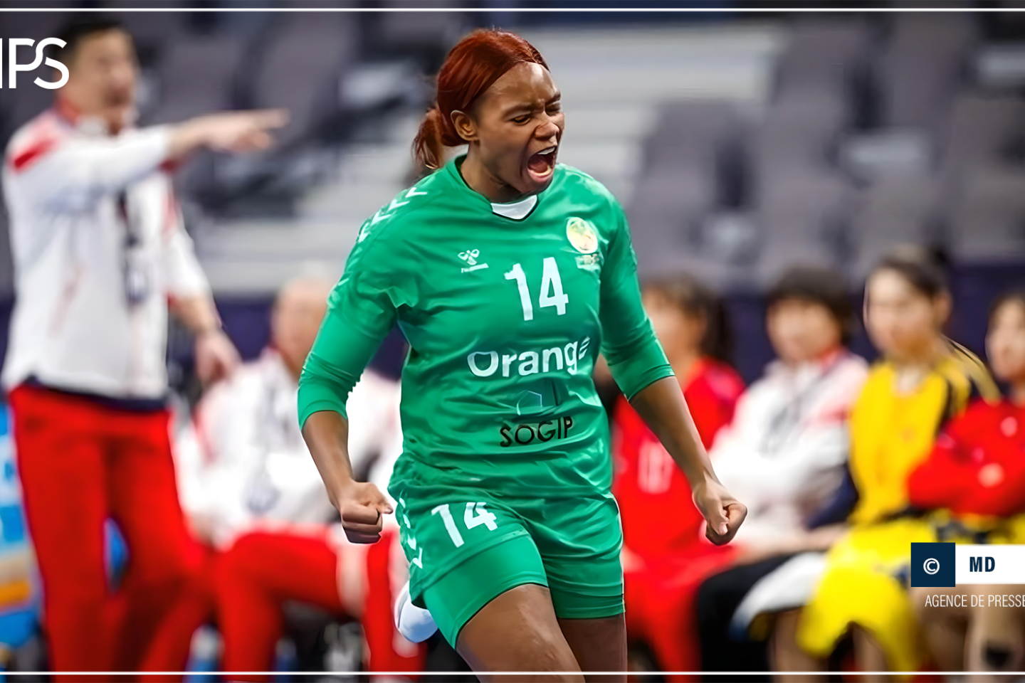 Championnat du monde féminin de handball : le Sénégal à l’épreuve de la Hongrie au tour principal, jeudi