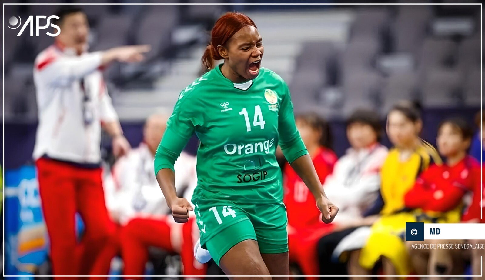 Championnat du monde féminin de handball : le Sénégal à l’épreuve de la Hongrie au tour principal, jeudi