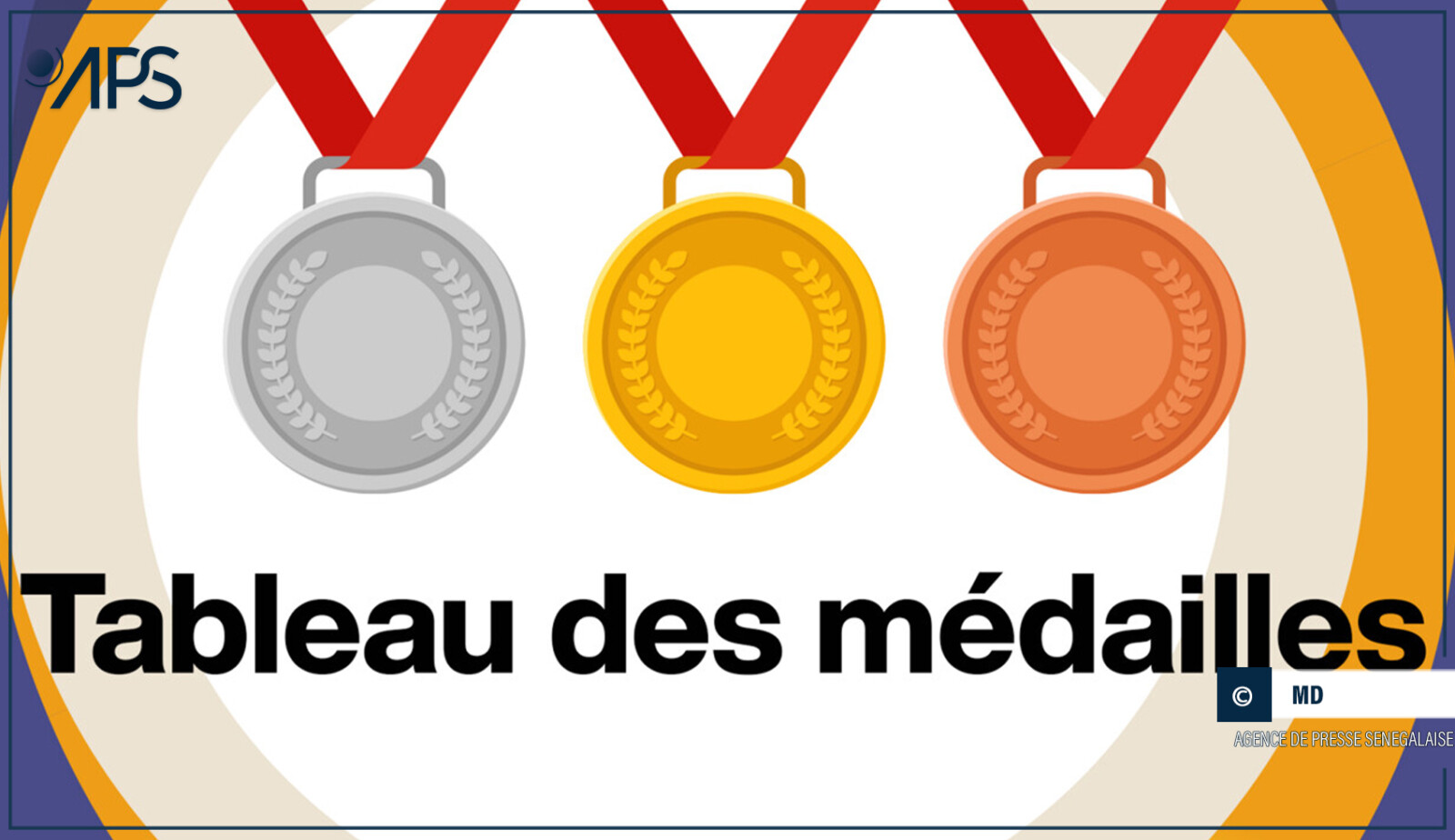 Jeux Paralympiques Paris 2024 : les Africains récoltent 64 médailles dont 23 en or