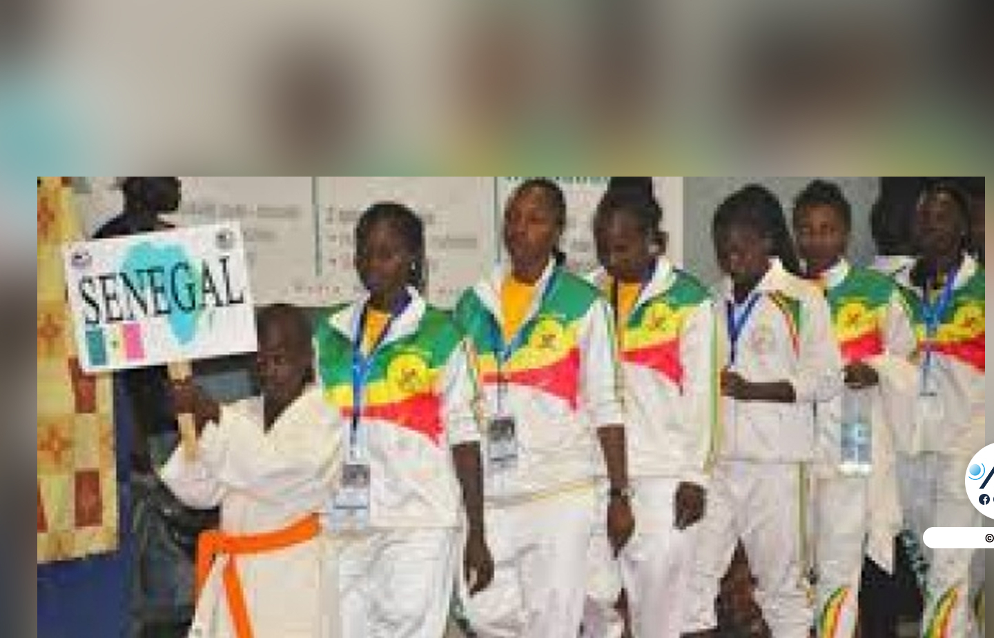 Championnat d’Afrique de karaté : le Sénégal termine avec huit médailles