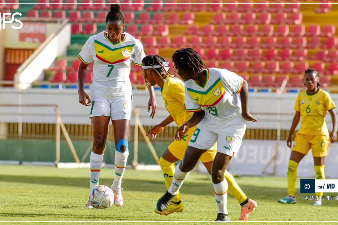 Les Lionnes tenues en échec par les Sud-Africaines en match amical