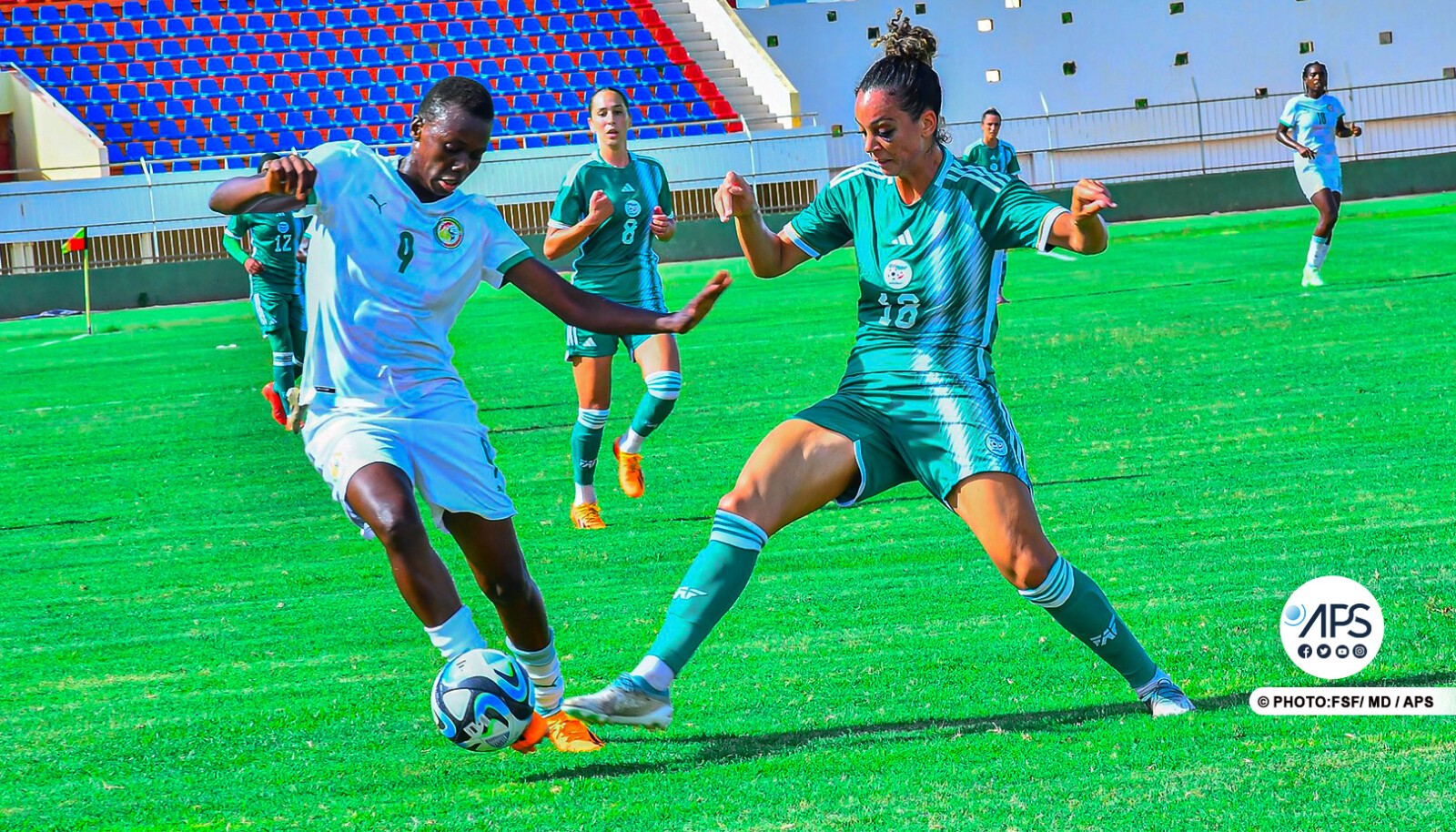 Match amical : le Sénégal bat à nouveau l'Algérie