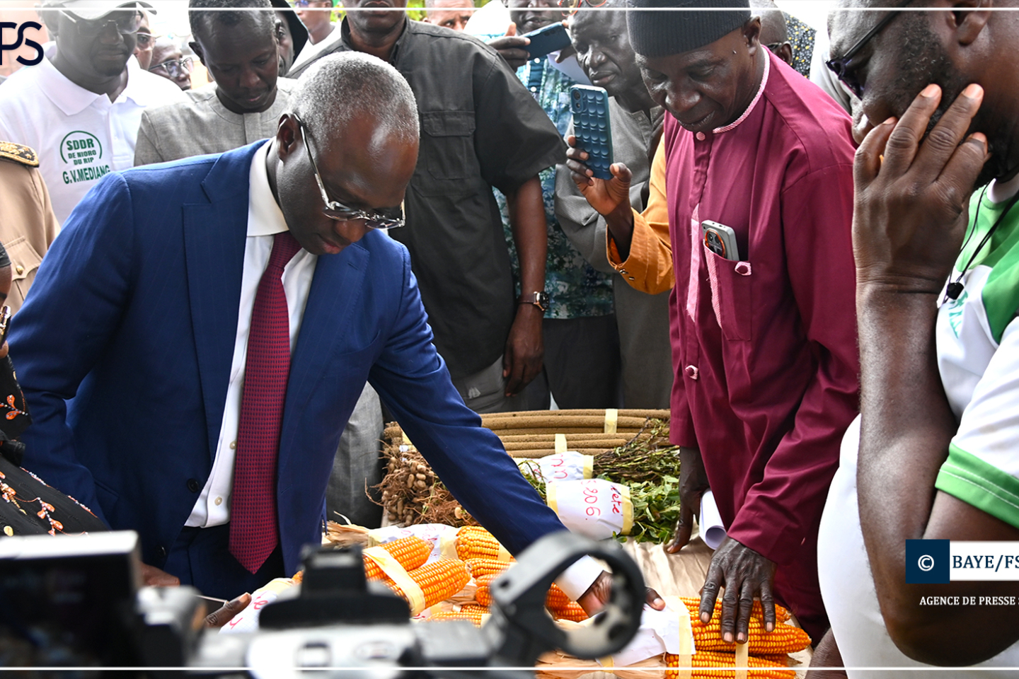 Dinguiraye : le maïs, ‘’diamant vert’’ de l’agriculture sénégalaise, selon Dr Mabouba Diagne