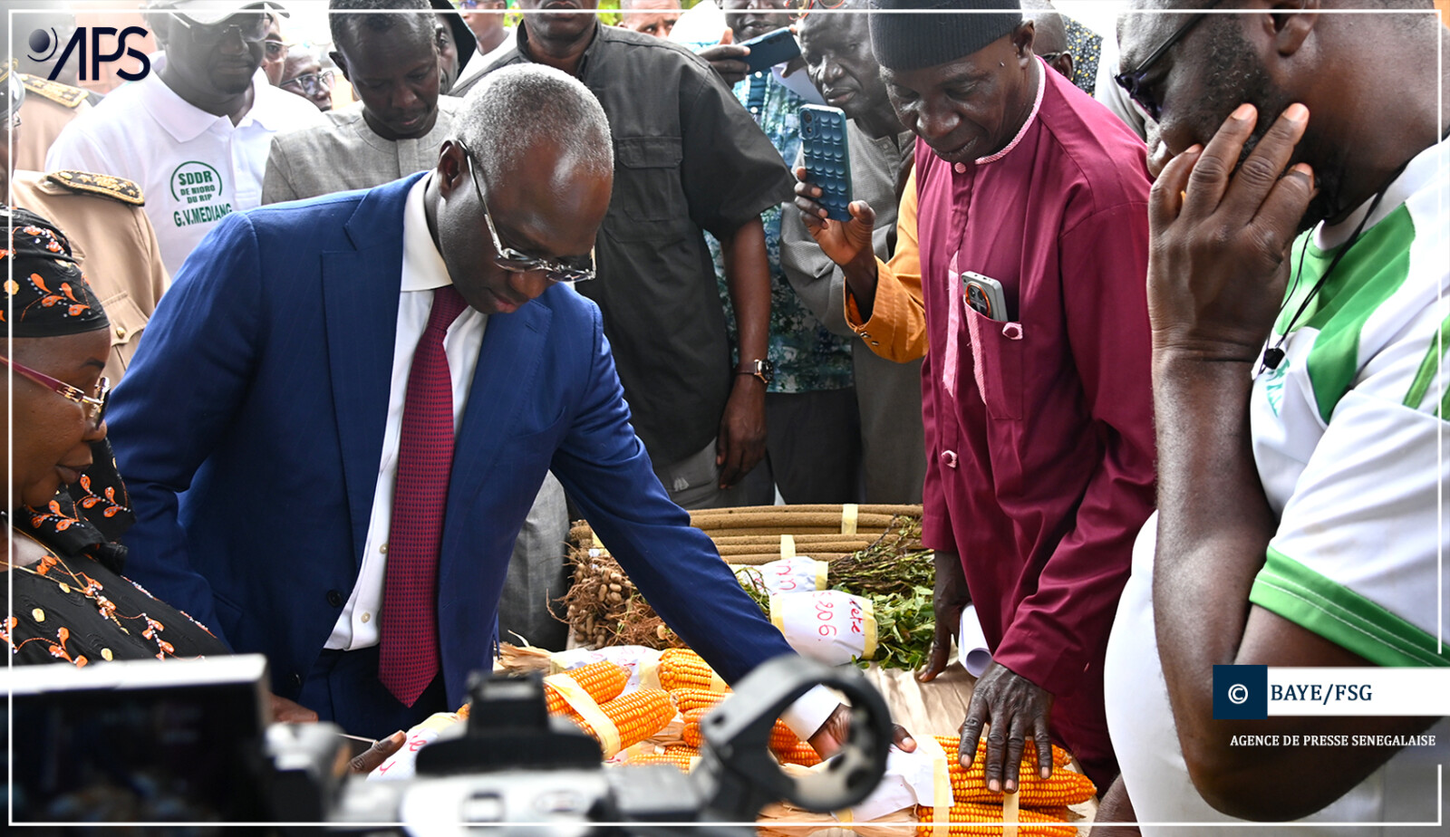 Dinguiraye : le maïs, ‘’diamant vert’’ de l’agriculture sénégalaise, selon Dr Mabouba Diagne