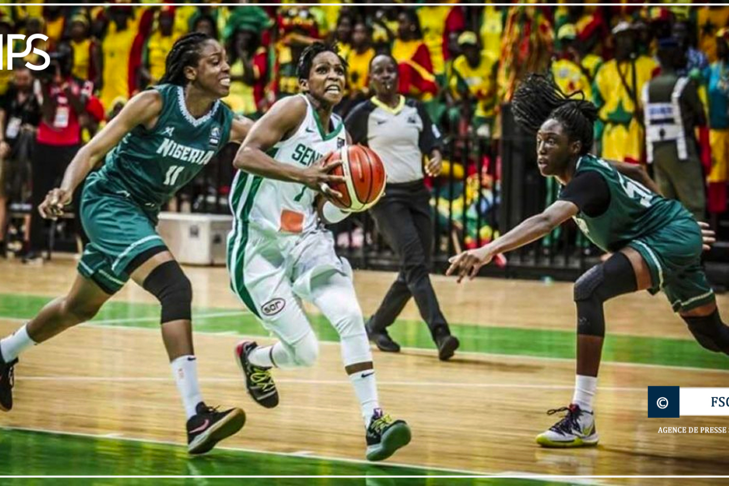 Qualification JO : le Sénégal s’incline devant le Nigeria (65-72)
