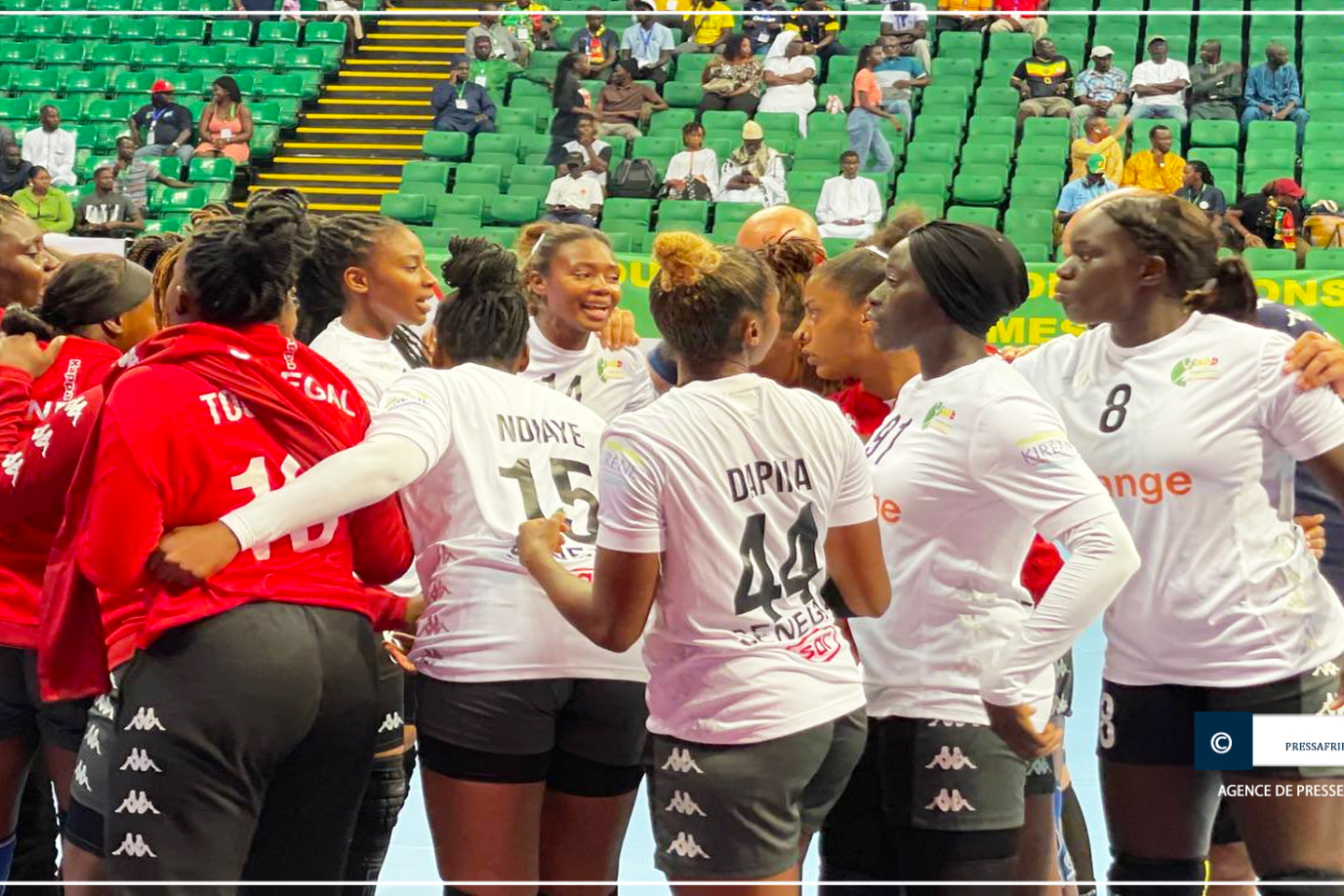 Championnat du monde féminin de handball : le Sénégal battu par le Monténégro (21-29)