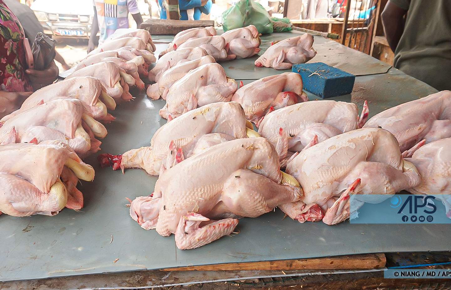 Korité: Des clients déplorent la cherté du prix du poulet