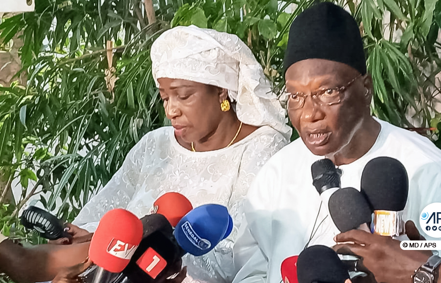 Un livre autobiographique du professeur Saliou Mbaye axé sur la problématique de la mémoire