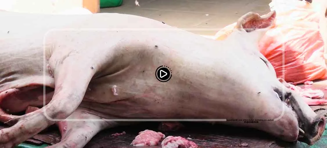 Carême : la vente de la viande de porc en déclin