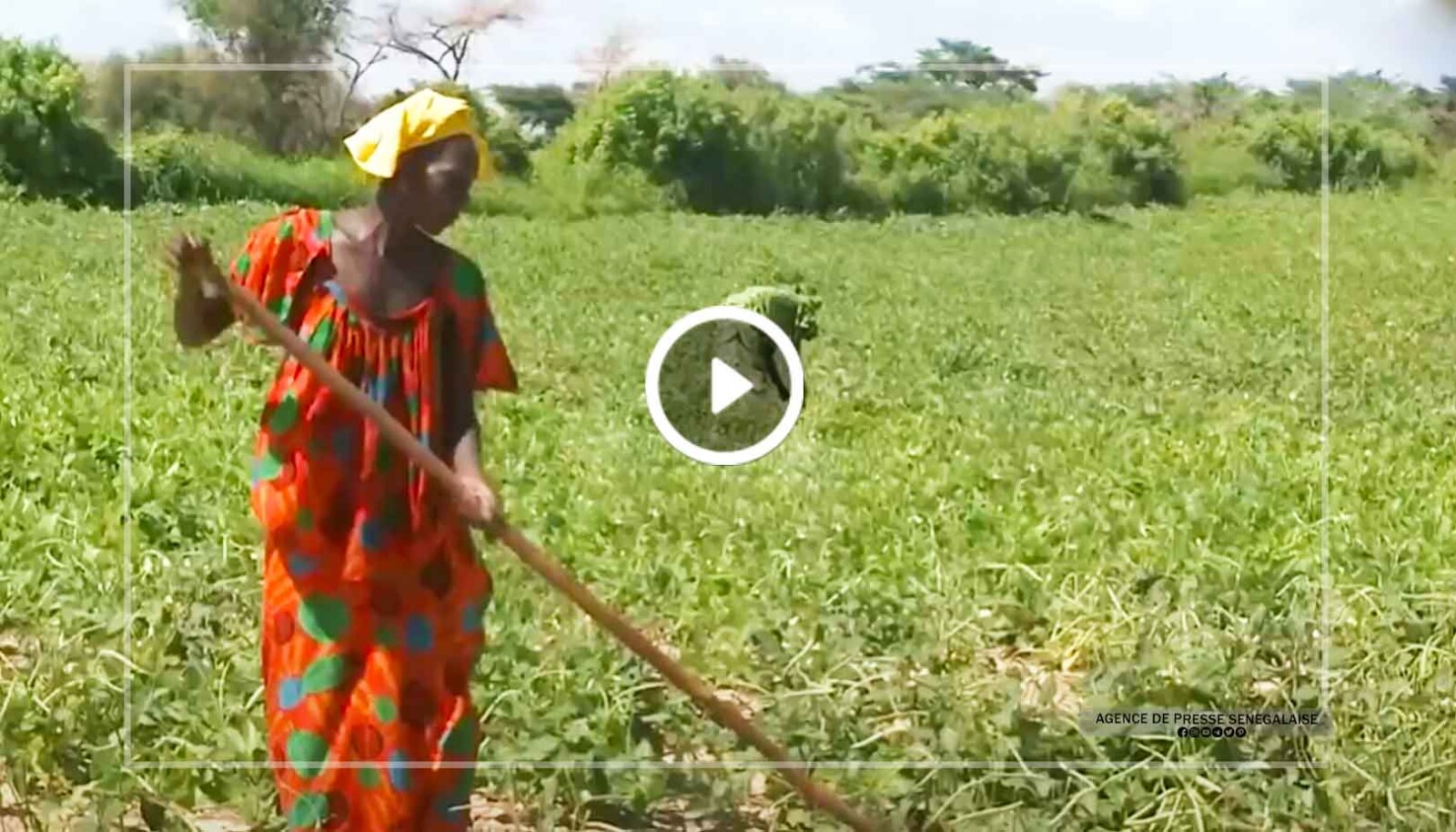 Autonomisation des femmes du secteur agricole : La tutelle lance le processus d'élaboration d'un nouveau programme Autonomisation des femmes du secteur agricole : La tutelle lance le processus d'élaboration d'un nouveau programme