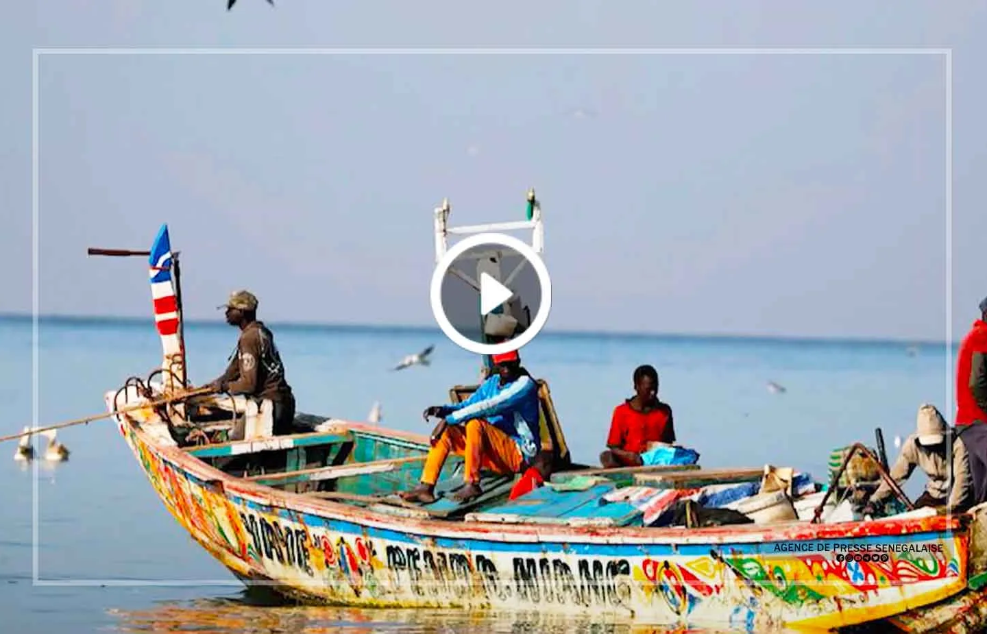 L’IUPA sensibilise sur l’importance de la gestion durable des pêches et des stocks partagés de sardinelles