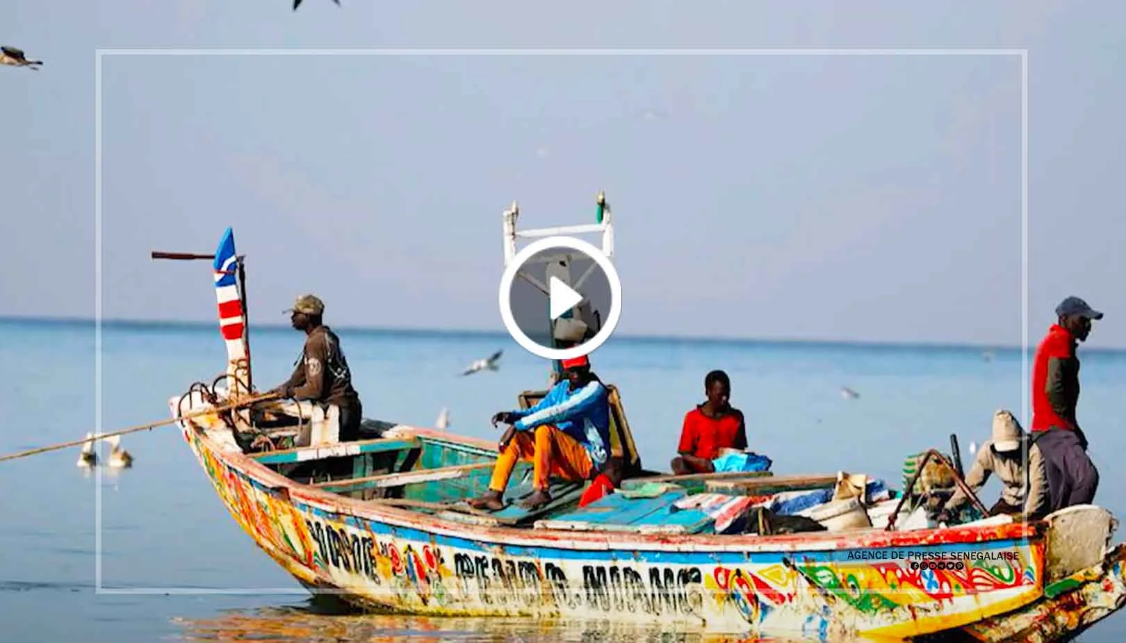 L'IUPA sensibilise sur l'importance de la gestion durable des pêches et des stocks partagés de sardinelles