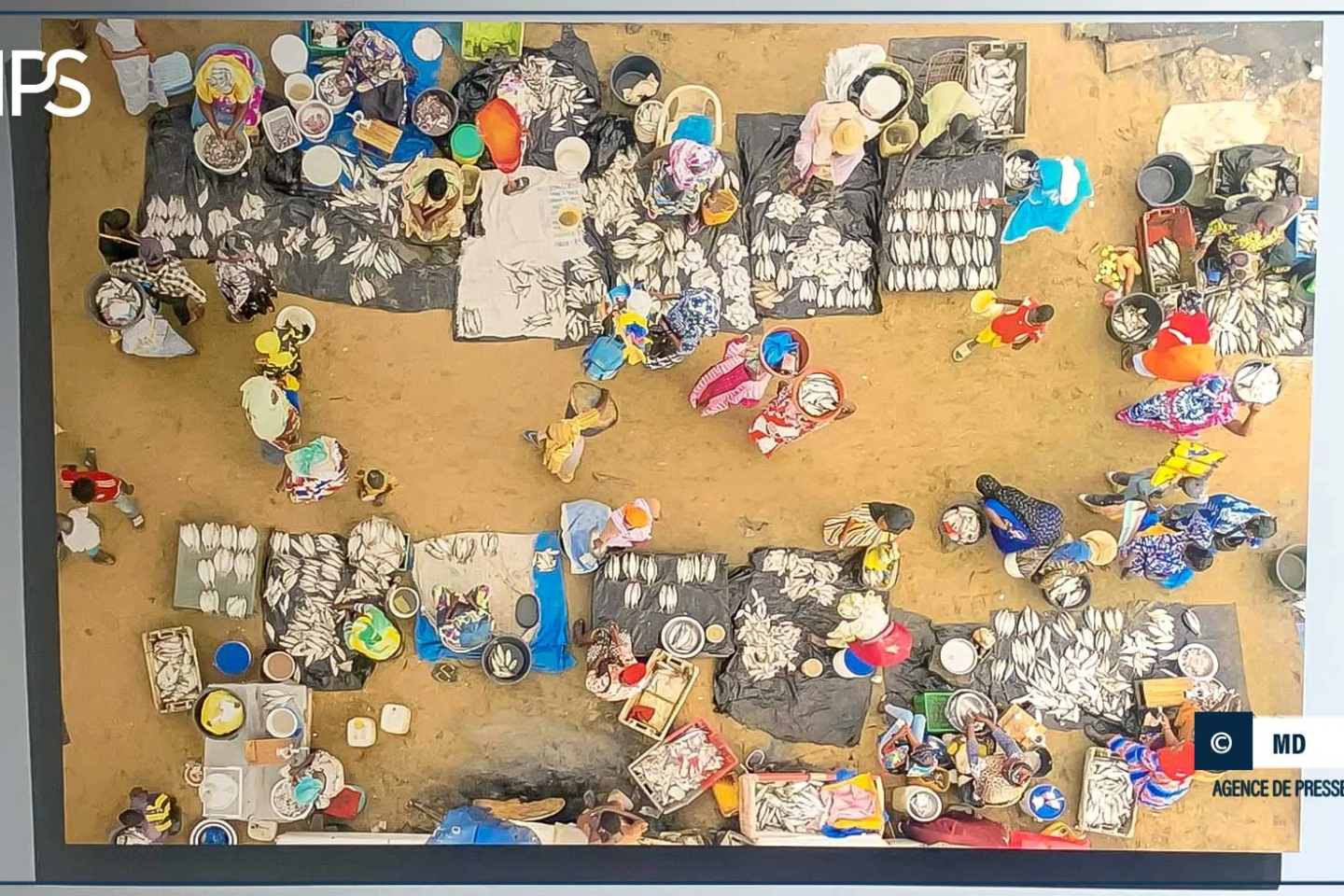 Dak’Art: des artistes jettent le pont d’une diplomatie culturelle entre le Sénégal et la Turquie