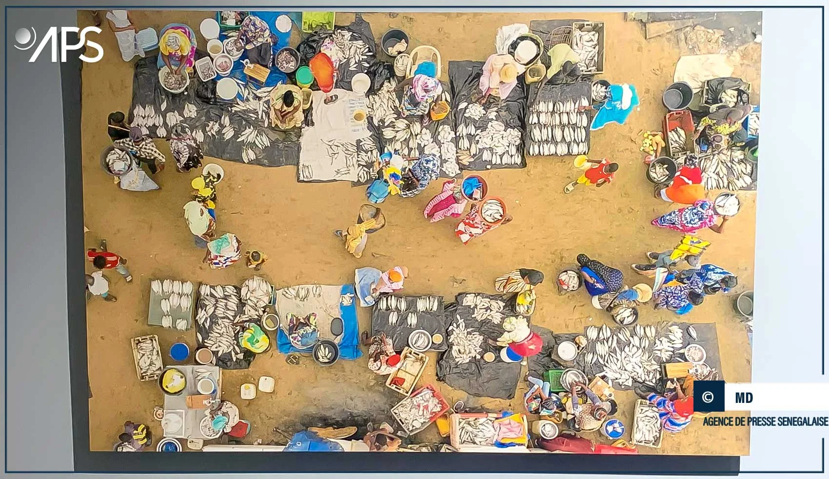 Dak'Art: des artistes jettent le pont d’une diplomatie culturelle entre le Sénégal et la Turquie