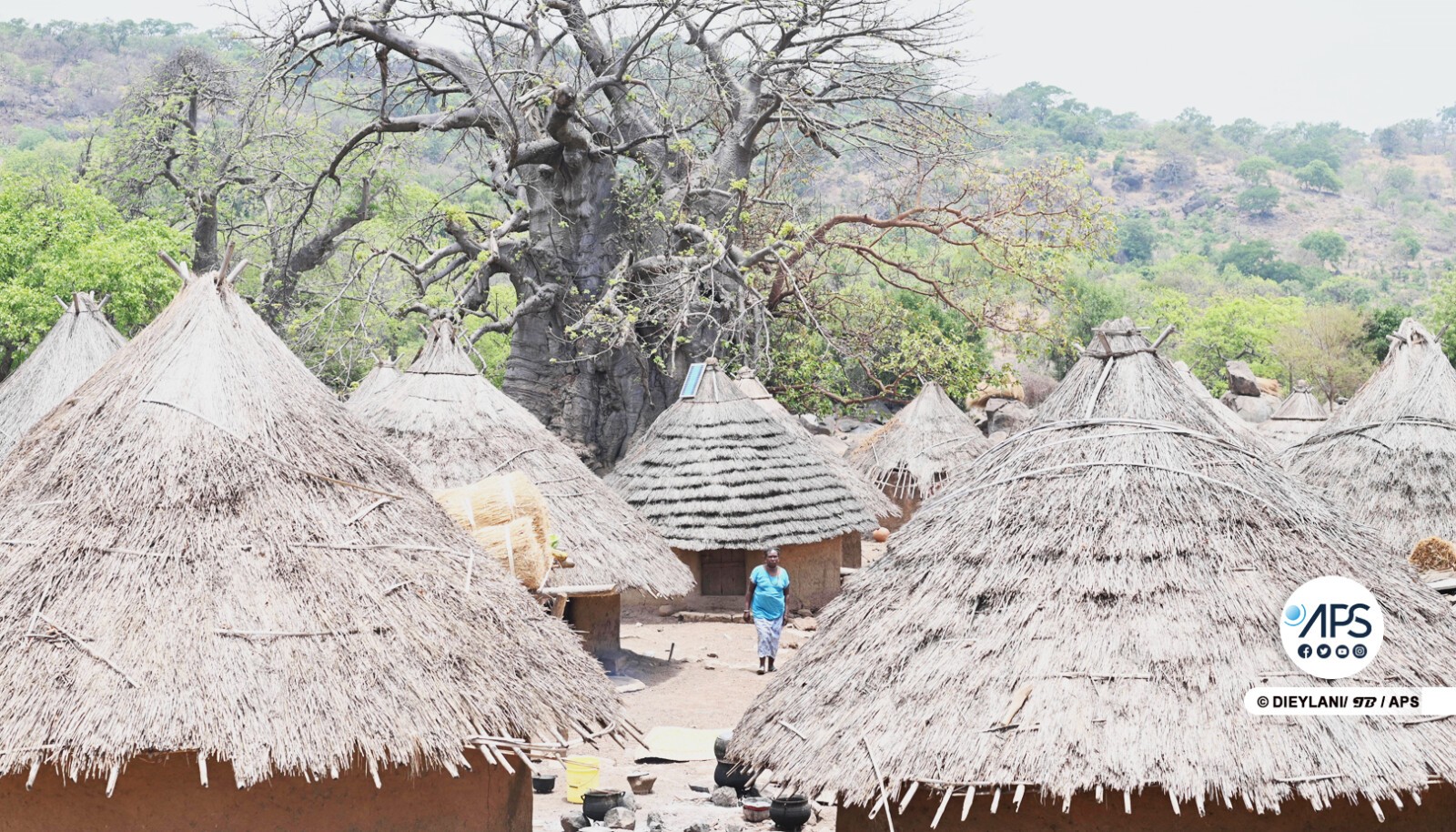 Le Baobab d’Iwol, l'esprit protecteur des Bédiks