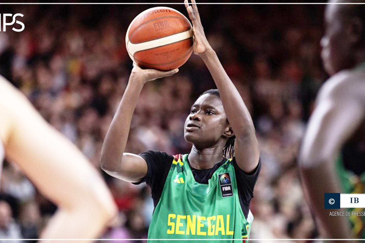 Pré-qualifications Mondial 2026 : les Lionnes s’imposent, en amical, 73-37, contre la sélection locale