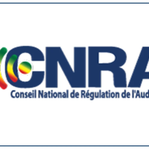 Propos injurieux : le CNRA met en garde les médias audiovisuels et les ‘’chroniqueurs’’