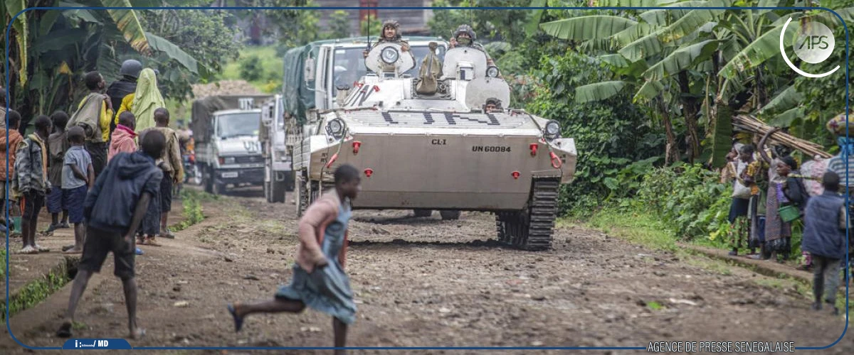 Congo : une lettre ouverte de plus 400 personnalités pour demander un cessez-le-feu