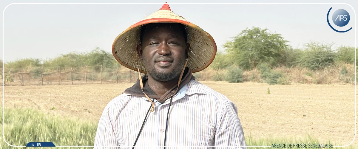 Makhtar Seck ou l’engagement d’un jeune entrepreneur agricole