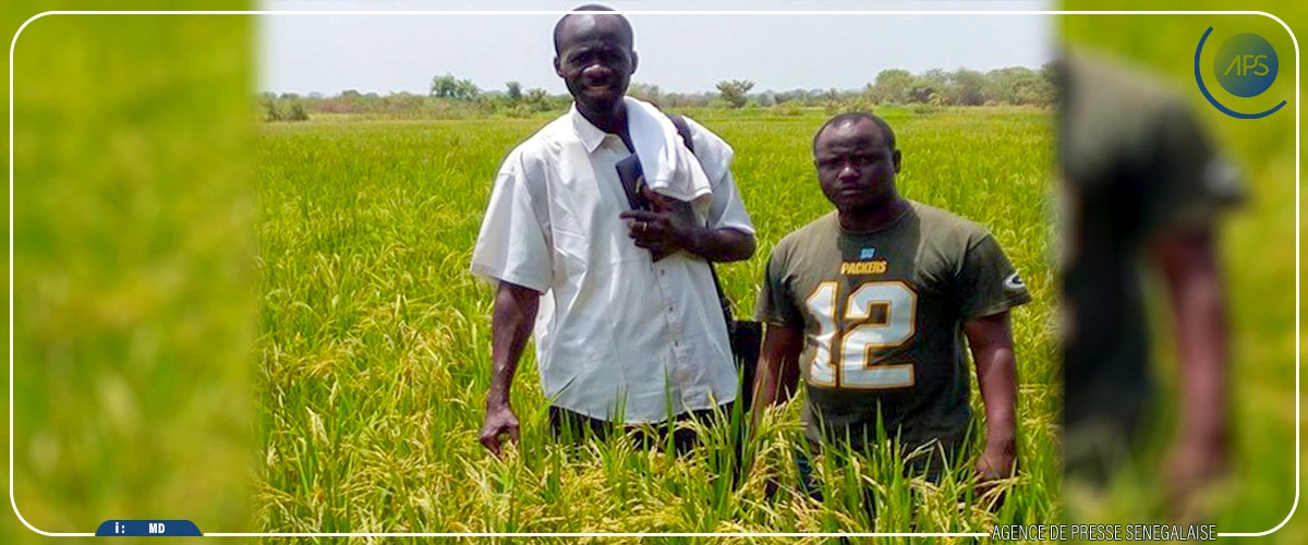 Deux Sénégalais obtiennent un agrément pour la distribution d’un fertilisant naturel