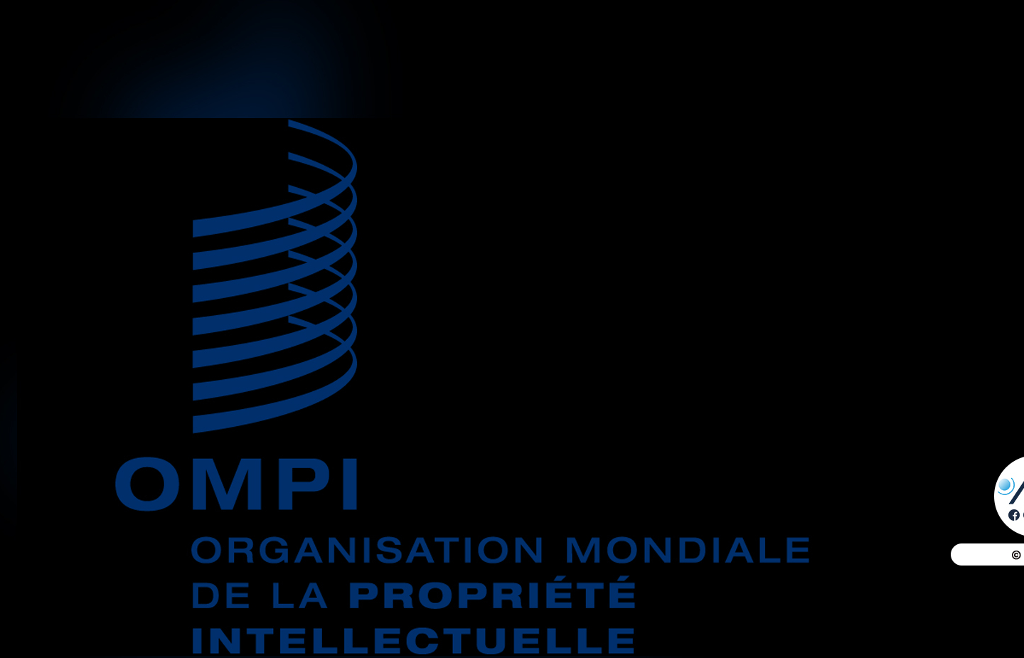 Le CONAPES partie prenante d’un dialogue de l’OMPI à Genève