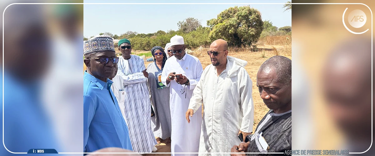 Tivaouane : une ONG promet un forage à Serigne Habib Sy Dabakh pour son champ à Aïnoumadi