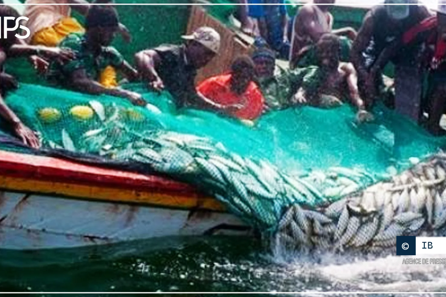 Le CONIPAS plaide pour une meilleur gouvernance du secteur de la pêche