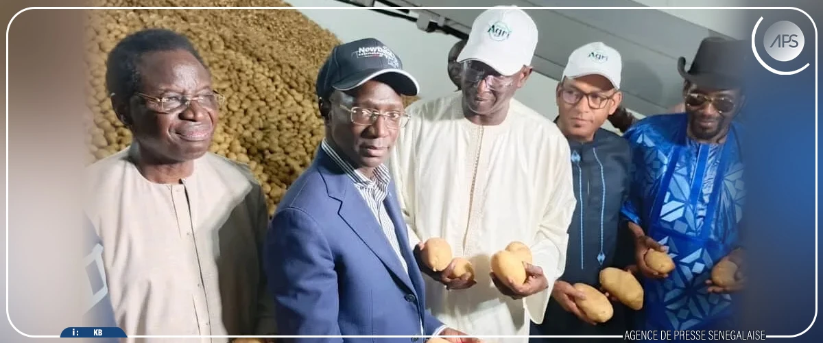 Oignon et pomme de terre : Mabouba Diagne fixe les besoins en consommation pour 2025