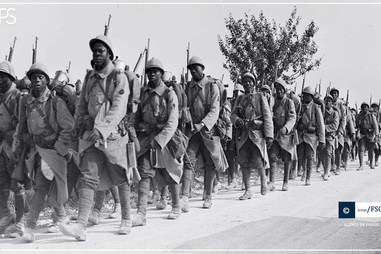 Du décret de Napoléon III à la tuerie de Thiaroye : retour sur le long sacrifice des tirailleurs sénégalais