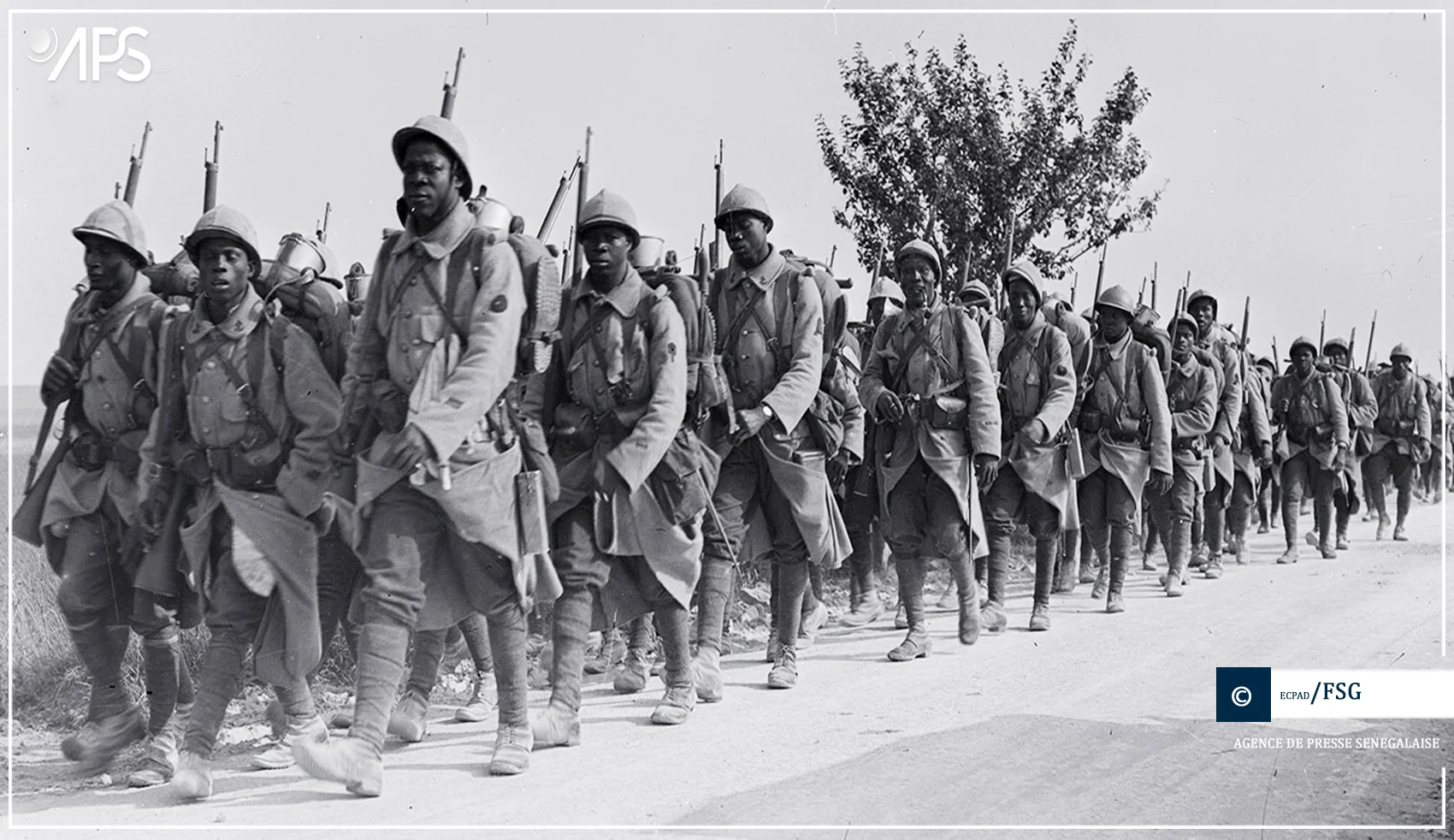 Du décret de Napoléon III à la tuerie de Thiaroye : retour sur le long sacrifice des tirailleurs sénégalais
