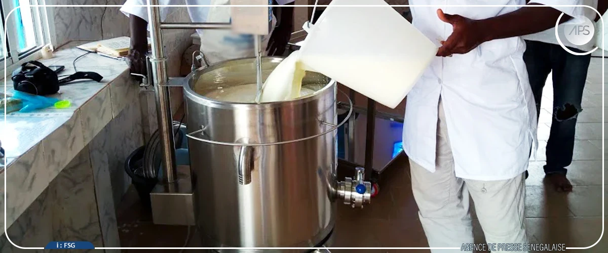 Linguère : des acteurs de la filière lait pour une meilleure structuration de leur secteur