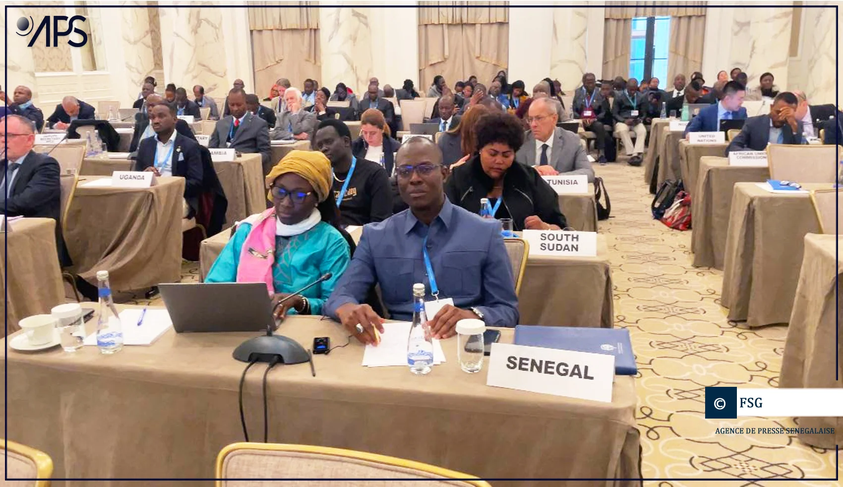 Marché carbone : Dakar invite les pays africains à s’accorder sur un prix plancher