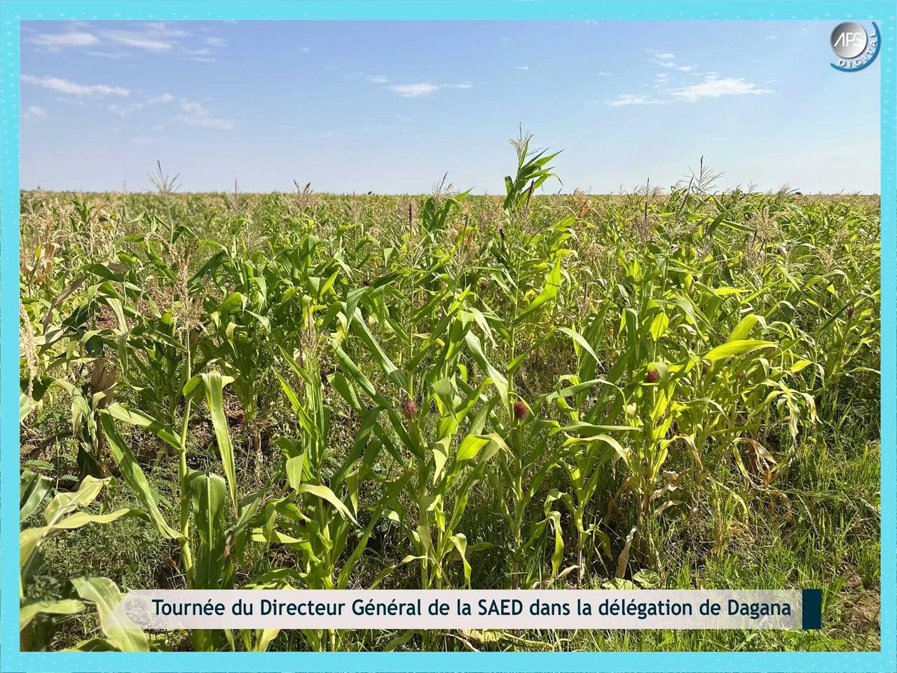 Tournée du Directeur Général de la SAED dans la délégation de Dagana