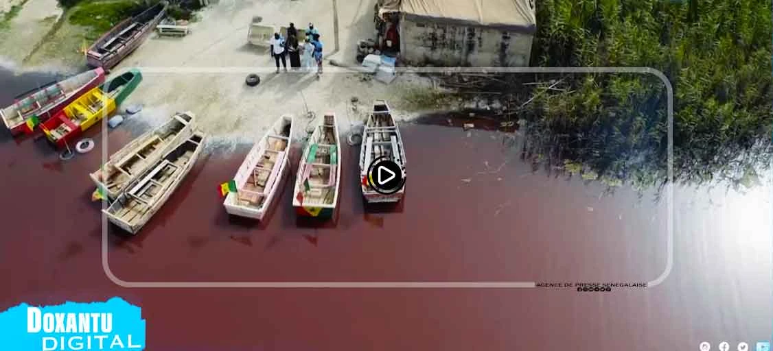 Lac rose : derrière une couleur, un haut lieu de survie